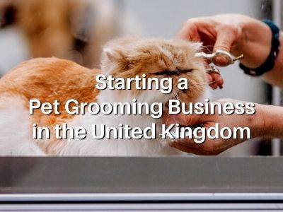 Starting a Pet Grooming Business in the United Kingdom