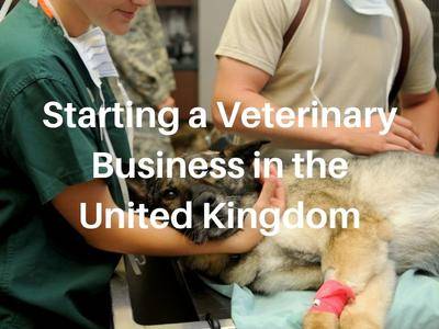 Starting a Veterinary Business in the United Kingdom