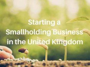 Starting a Smallholding Business in the United Kingdom